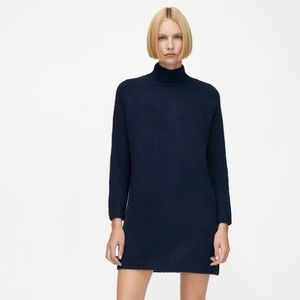 ZARA Knit Mock Neck Dress